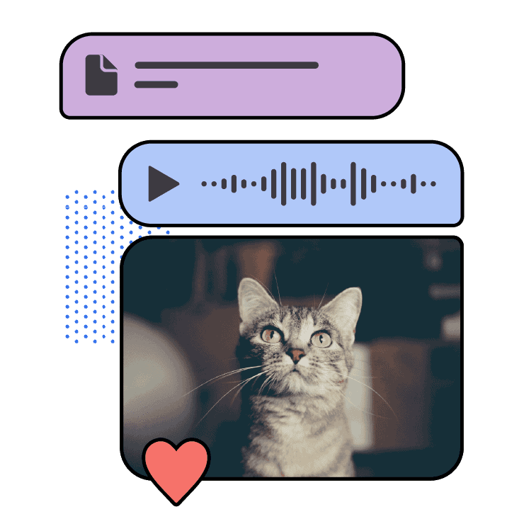 媒体与文件分享插图